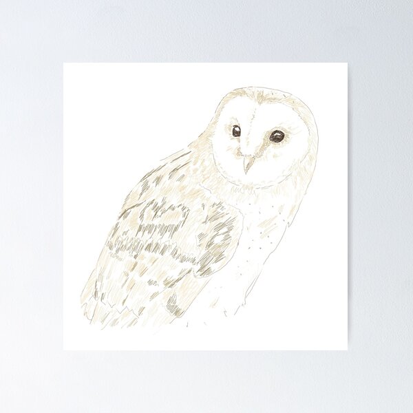 Item preview, Barn owl sketch designed and sold by hollandsgrave.
