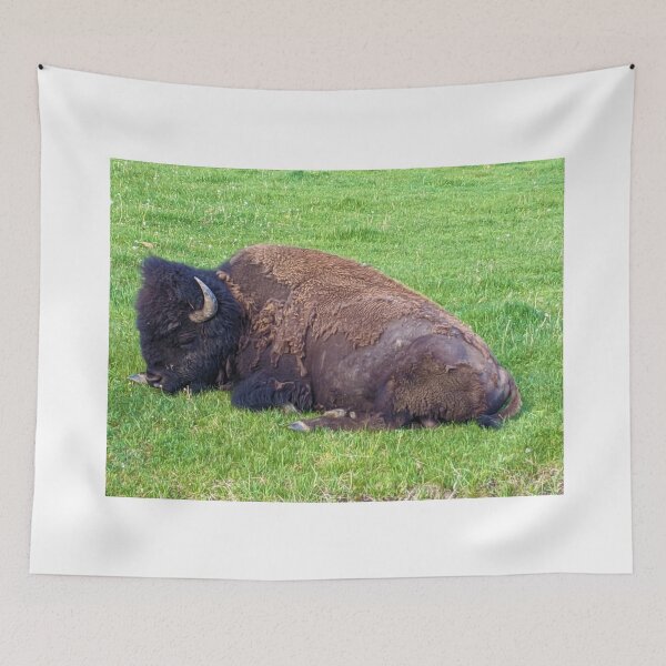 Item preview, Bison in the grass designed and sold by EddyS6.