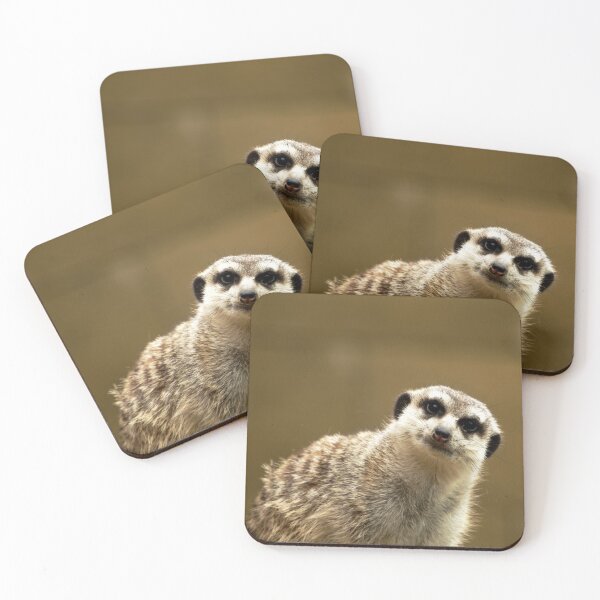 Item preview, Meerkat Suricata suricatta looking curiously on a brown blurred background designed and sold by Michaelerch.