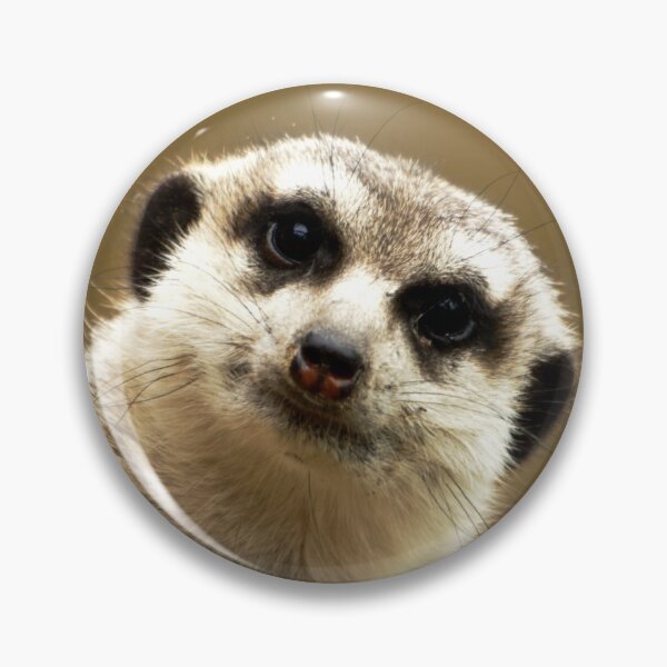 Item preview, Meerkat Suricata suricatta looking curiously on a brown blurred background designed and sold by Michaelerch.