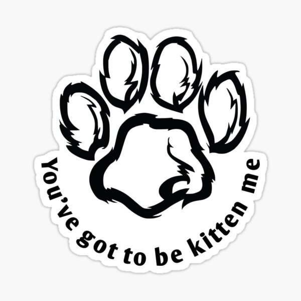 Youve Got To Be Kitten Me Sticker For Sale By Joodmood Redbubble 