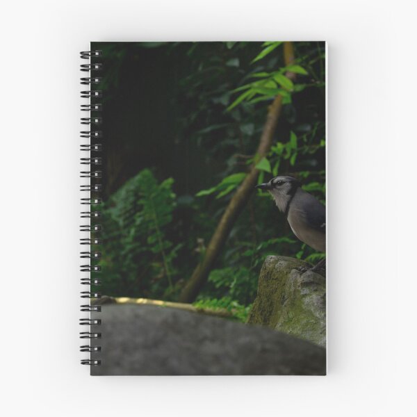 Item preview, Blue Jay on Rock designed and sold by JessicaJam.