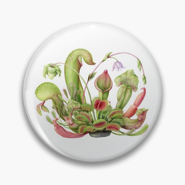 Item preview, Carnivorous Plant Arrangement designed and sold by willyckh.