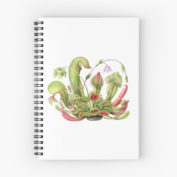 Item preview, Carnivorous Plant Arrangement designed and sold by willyckh.