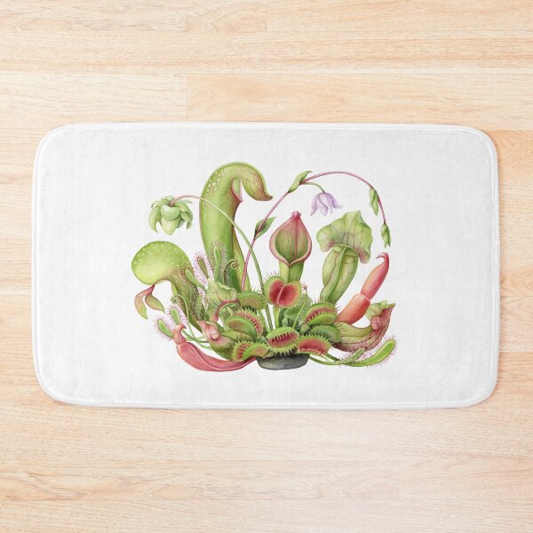 Item preview, Carnivorous Plant Arrangement designed and sold by willyckh.