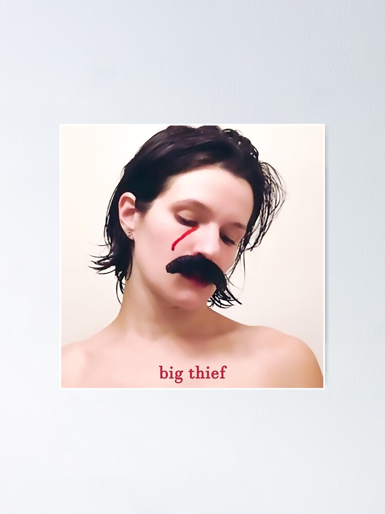 adrianne lenker songs and instrumentals puzzle - Big Thief