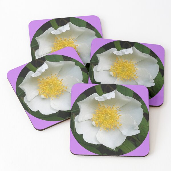 Item preview, White Wild Rose designed and sold by amanda150771.