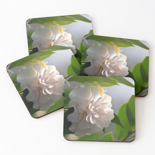 Item preview, White Camellia  designed and sold by JessicaJam.