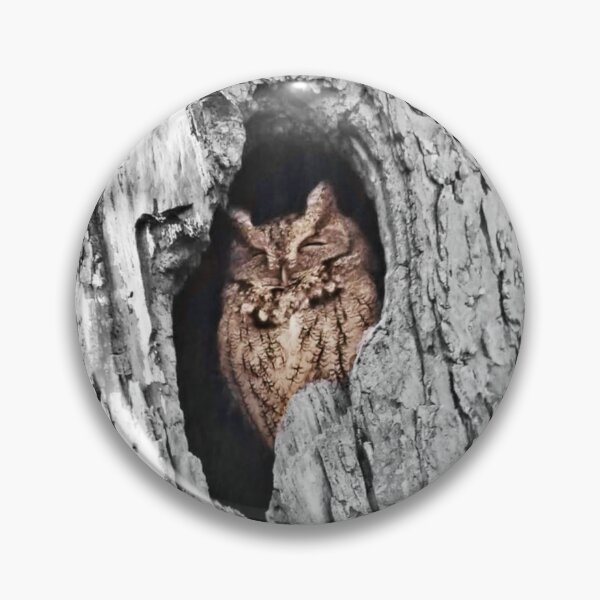 Item preview, Owl in a Tree Photography designed and sold by AwesomeWizard.