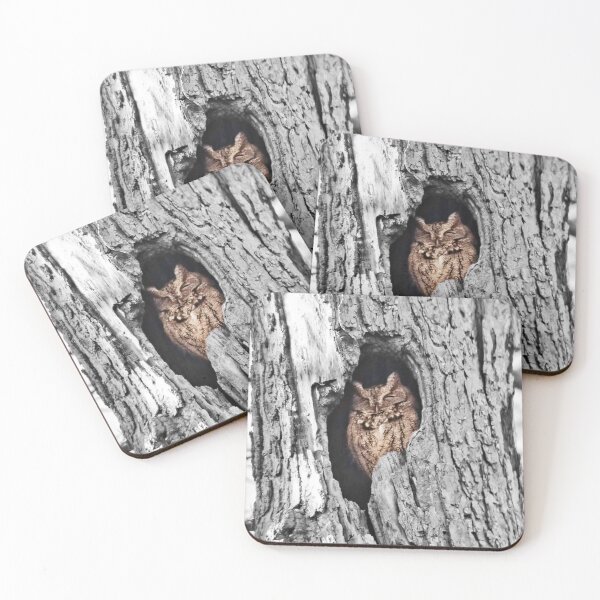 Item preview, Owl in a Tree Photography designed and sold by AwesomeWizard.