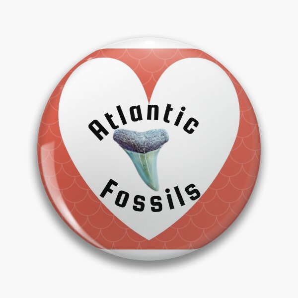 Item preview, Red Mermaid Heart Nautical Light Blue Atlantic Fossils Shark Tooth Print designed and sold by AtlanticFossils.