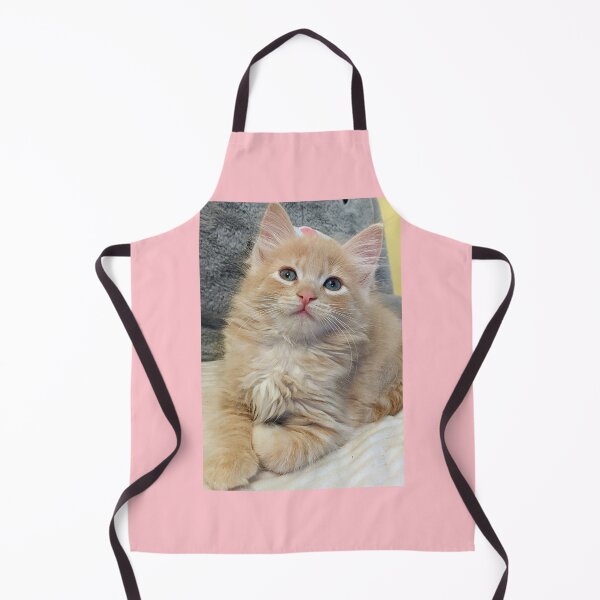Item preview, Copy of Ragdoll Mainecoon kitten designed and sold by Fluffycat2020.