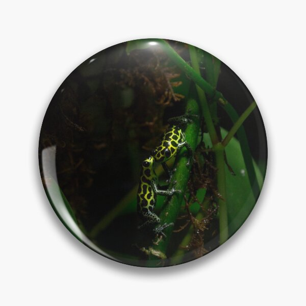 Item preview, Kissing Poison Dart Frogs designed and sold by JessicaJam.