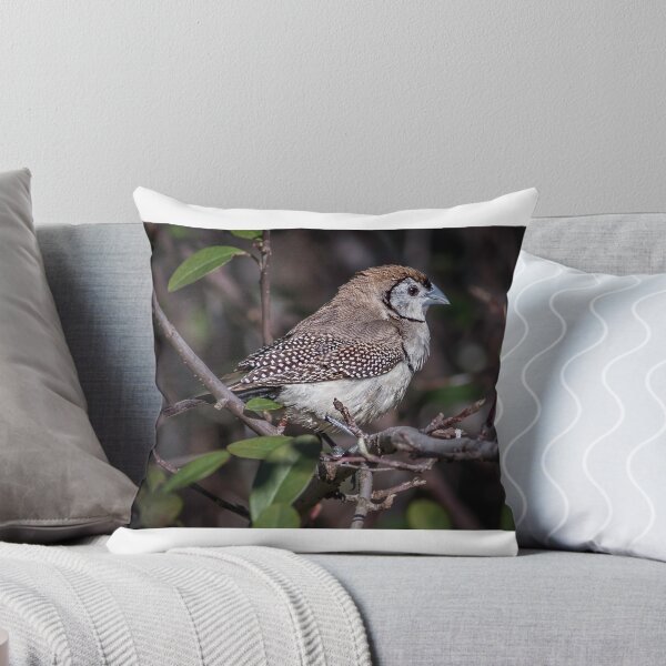 Item preview, Double Bar Finch designed and sold by sandraanderson.