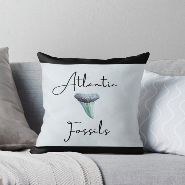 Item preview, Black Calligraphy Nautical Light Blue Atlantic Fossils Shark Tooth Print designed and sold by AtlanticFossils.