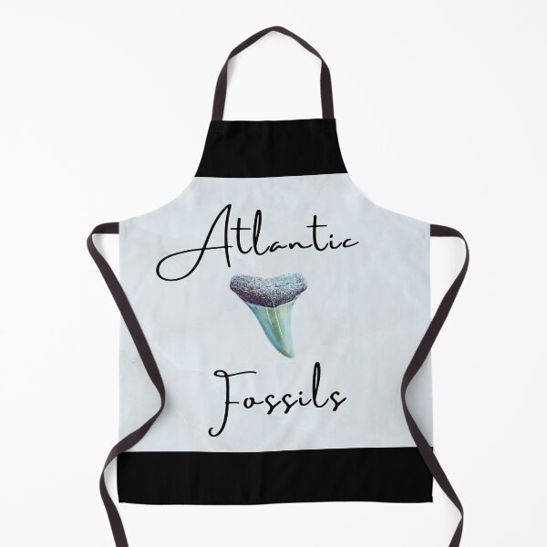 Item preview, Black Calligraphy Nautical Light Blue Atlantic Fossils Shark Tooth Print designed and sold by AtlanticFossils.