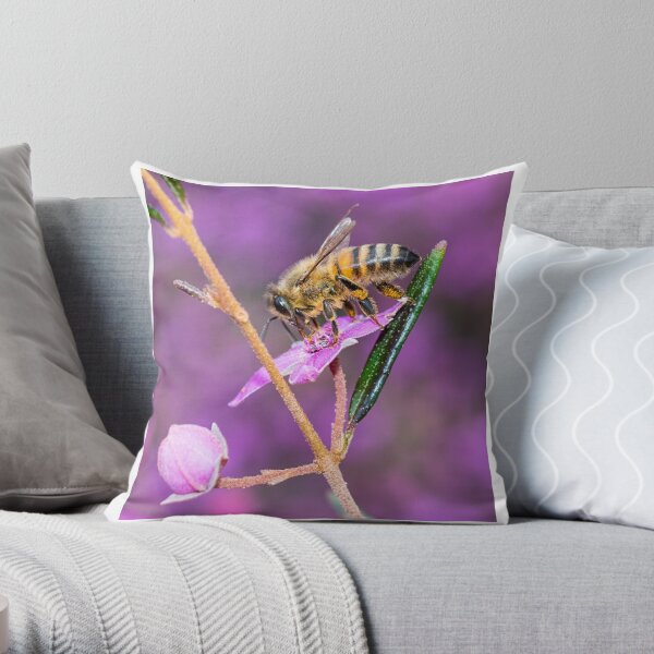 Bee with Pollen, West Head lookout, NSW Throw Pillow