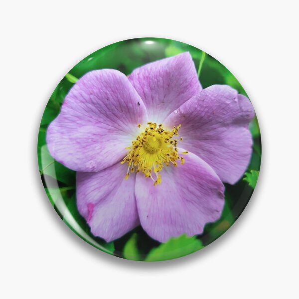 Item preview, Wild Rose designed and sold by Chalycejordan.