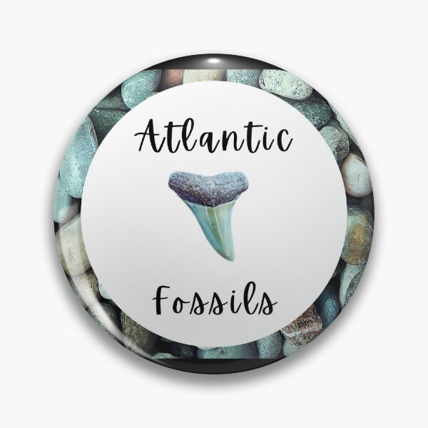 Item preview, River Rocks Nautical Light Blue Atlantic Fossils Shark Tooth Print designed and sold by AtlanticFossils.
