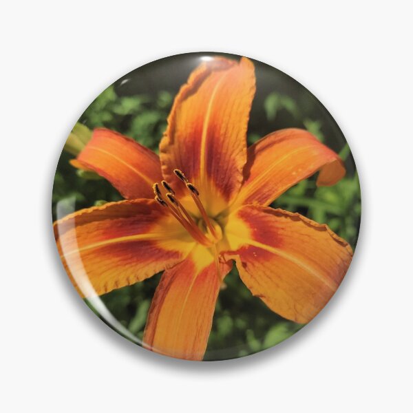 Item preview, Daylily designed and sold by Chalycejordan.
