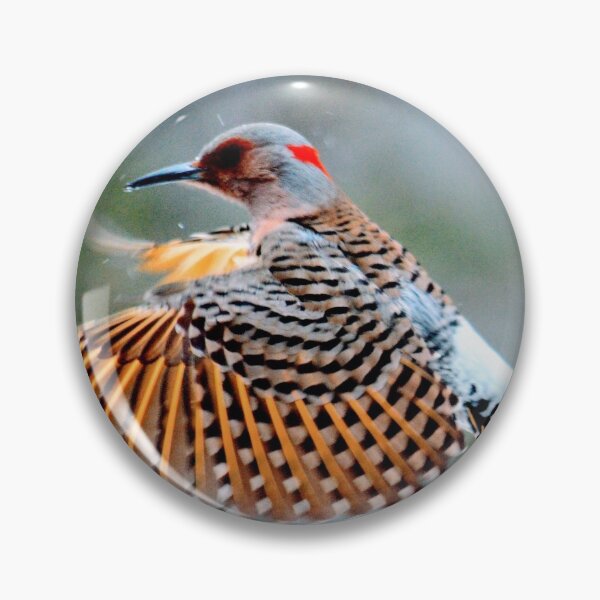 Item preview, Northern Flicker designed and sold by Chalycejordan.