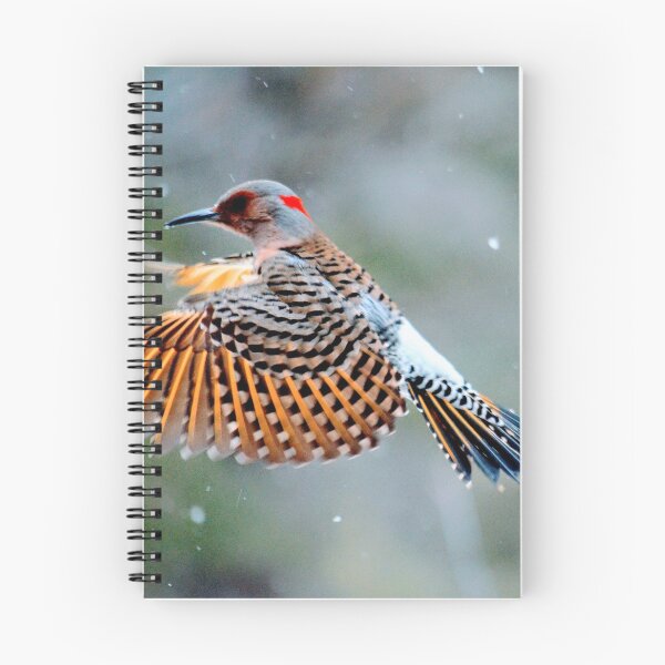 Item preview, Northern Flicker designed and sold by Chalycejordan.