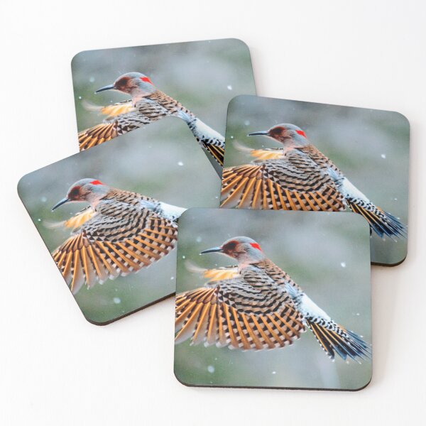 Item preview, Northern Flicker designed and sold by Chalycejordan.