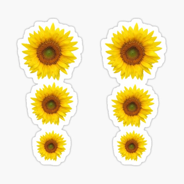 Item preview, Sunflower leggings designed and sold by DukeSTaurus.