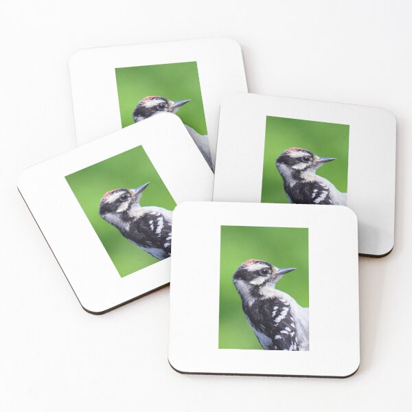 Item preview, Downy Woodpecker designed and sold by Chalycejordan.
