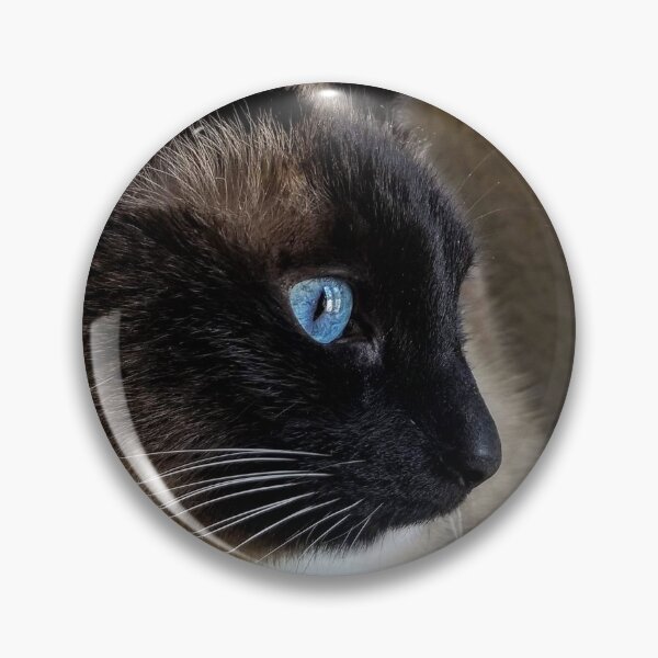 Item preview, Snowshoe Siamese  designed and sold by Chalycejordan.