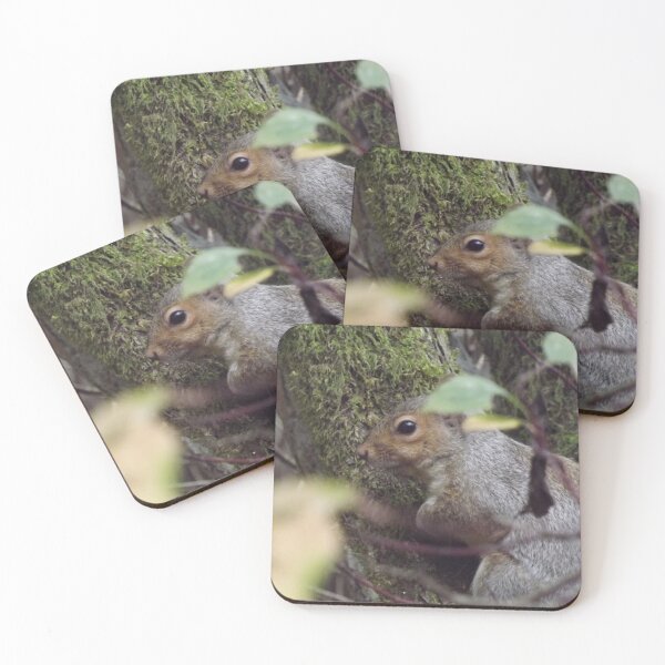 Item preview, Squirrel designed and sold by fabledtales.