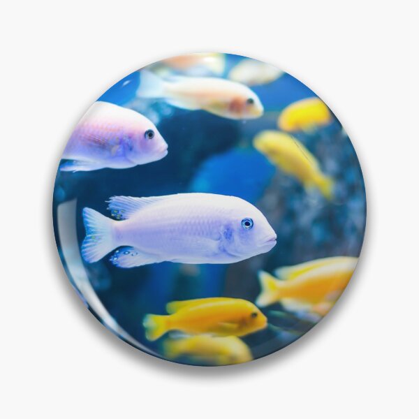Item preview, Flying fish designed and sold by U.K. INTERNATIONAL Degain.