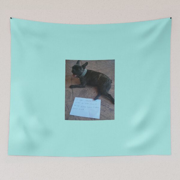 Item preview, FB kitty litter eater designed and sold by rach13.