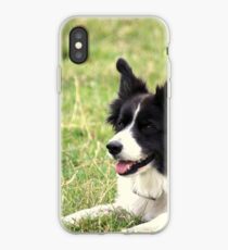 Border Collie iPhone Case
