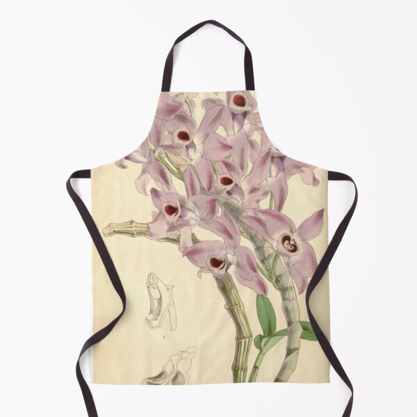 Item preview, Dendrobium parishii designed and sold by EsotericBotanic.