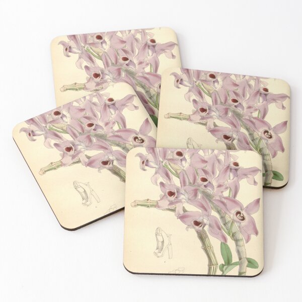 Item preview, Dendrobium parishii designed and sold by EsotericBotanic.