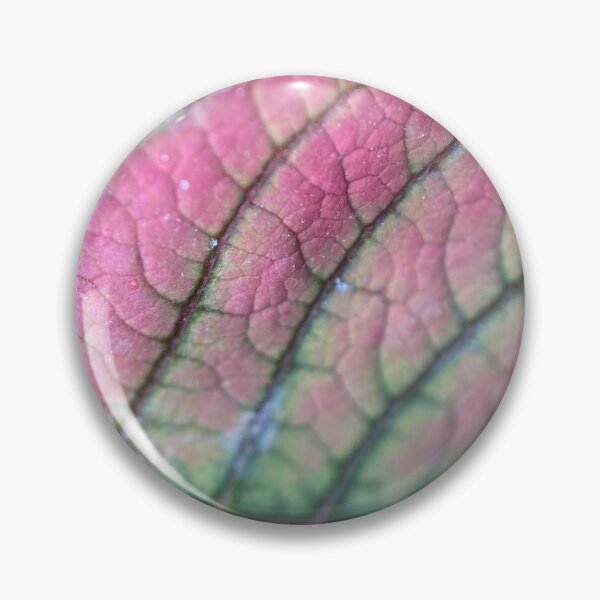 Item preview, Poinsettia Leaf Vein Lines designed and sold by Sinemathk.