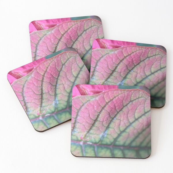 Item preview, Poinsettia Leaf Vein Lines designed and sold by Sinemathk.