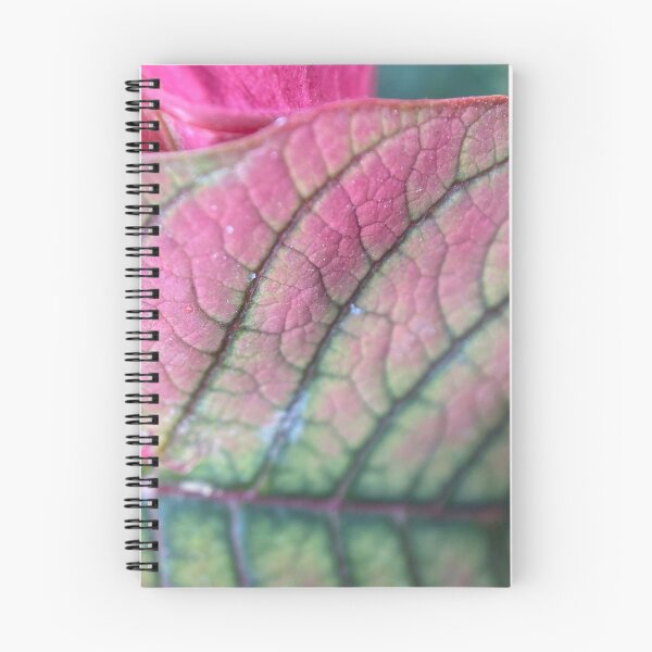 Item preview, Poinsettia Leaf Vein Lines designed and sold by Sinemathk.