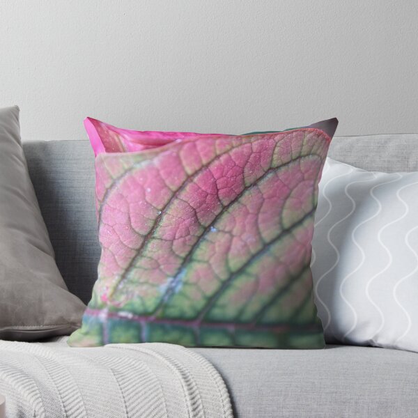 Item preview, Poinsettia Leaf Vein Lines designed and sold by Sinemathk.