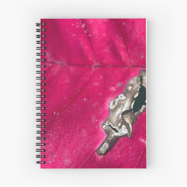 Item preview, Decomposing Red Poinsettia Plant Leaf designed and sold by Sinemathk.