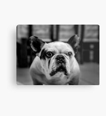 KIRBY Metal Print