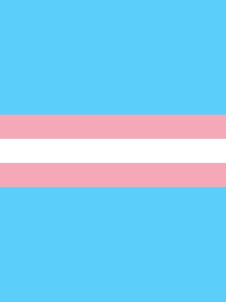 Bandera transgénero de baiiley