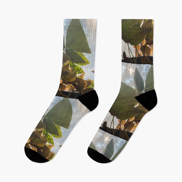 Item preview, Shamrock n Roll designed and sold by mollyvibe.