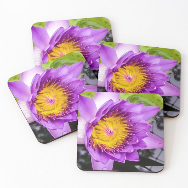 Item preview, Water lily designed and sold by sanafatima.