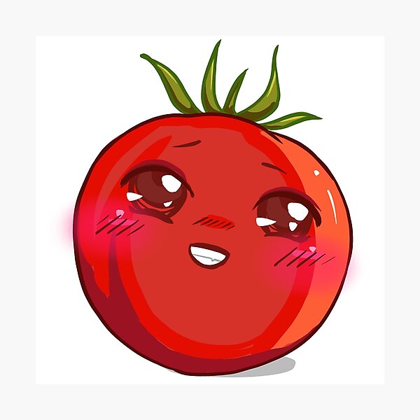 "Blushing red Tomato" Photographic Print for Sale by BunNcurry Redbubble