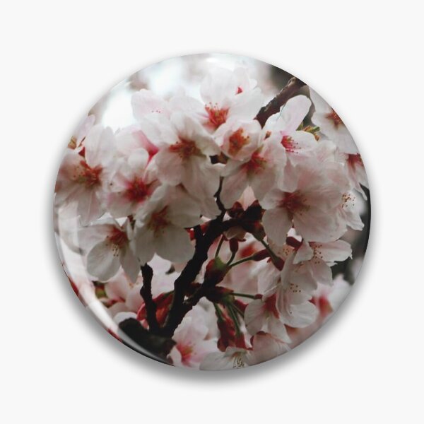 Item preview, Cherry Blossom in full bloom in Japan  designed and sold by PastyWhiteGirl.