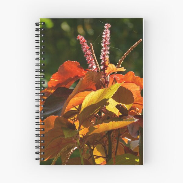 Item preview, plantas tropicales designed and sold by Bernhard Matejka.