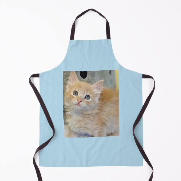 Item preview, Ragdoll Mainecoon kitten designed and sold by Fluffycat2020.