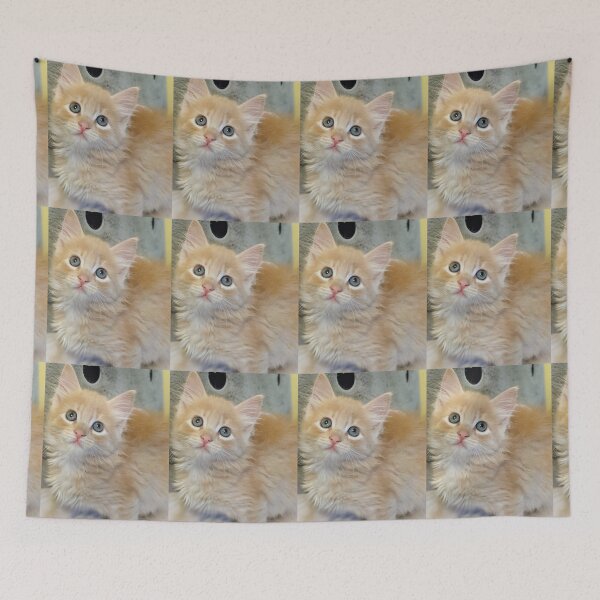 Item preview, Ragdoll Mainecoon kitten designed and sold by Fluffycat2020.